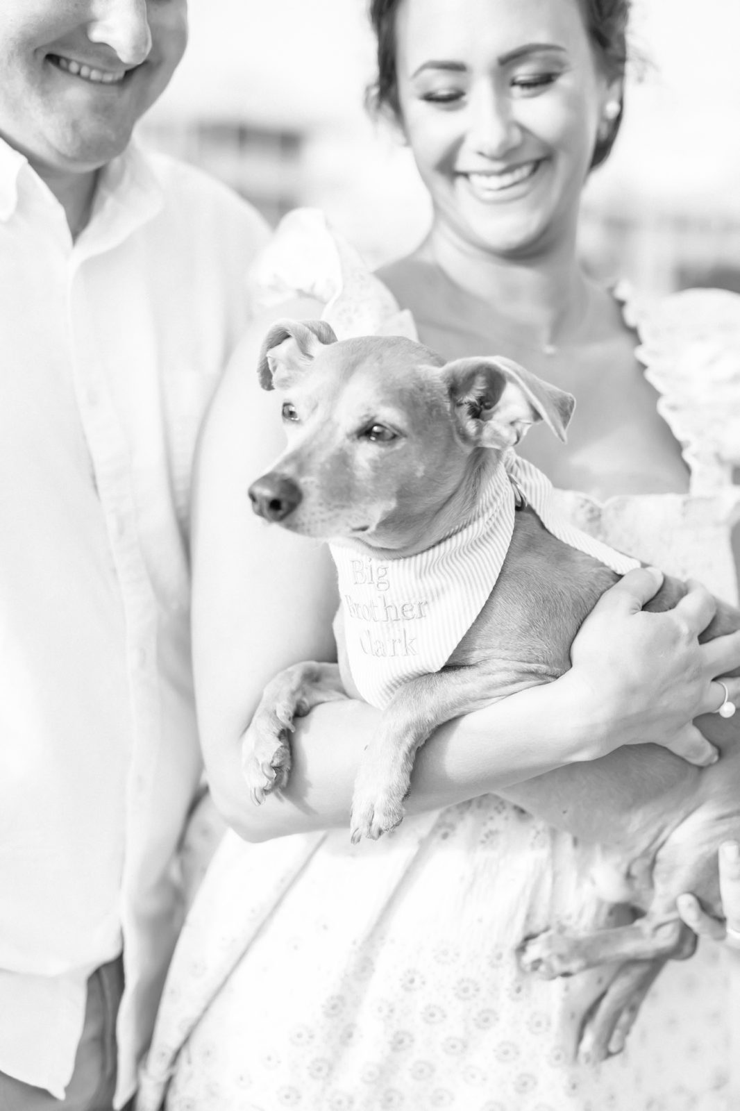 Christina Elliott Photography captures a black and white portrait of a married couple with a puppy. puppy pregnancy announcement pet brother #ChristinaElliottPhotography #ChristinaElliottMaternity #Galvestonmaternityphotographers #maternityportraits