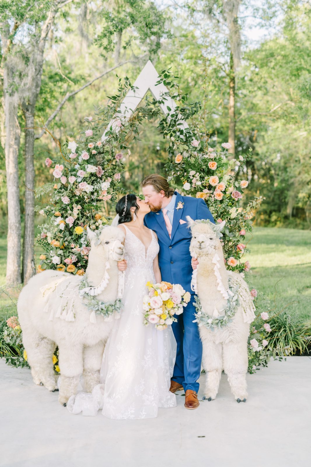 Bride and groom kiss while holding white llamas at their wedding by Christina Elliott Photography. llamas wedding alpacas wedding #ChristinaElliottPhotography #ChristinaElliottWeddings #Houstonwedding #TheSpringsVenue #EastHoustonweddings #sayIdo